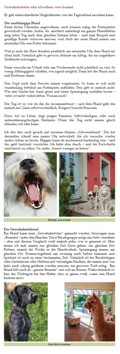 Welpenkauf Hundekauf Buch Rassen Elo Familie