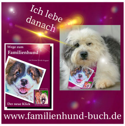 Therapiehund_Schulhund