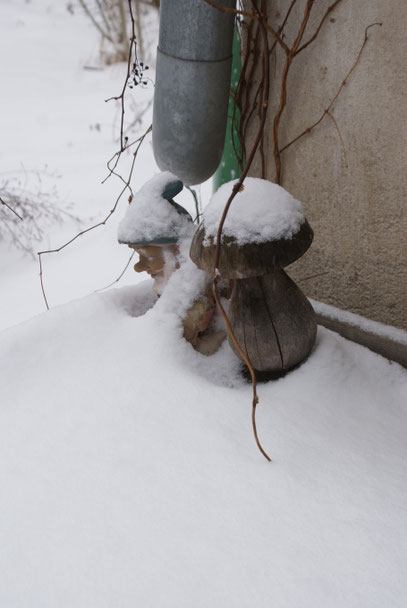 Zwerg im Schnee