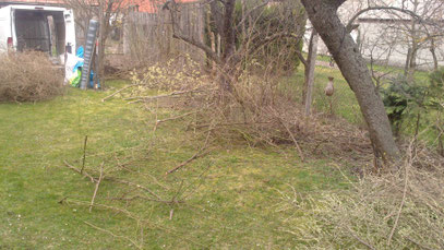Im Garten gibts auch jede Menge zu tun