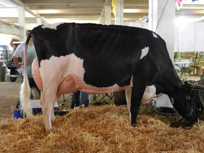 LIDYM à l'exposition de Trois-Rivières