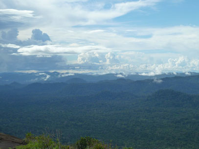 Tumuc Humac inselberg suski roche mamilipann