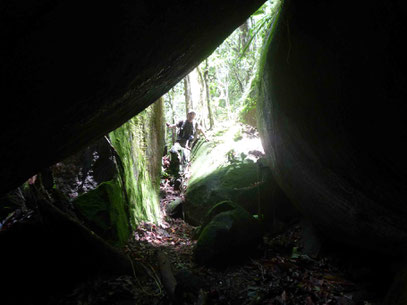 Tumuc Humac inselberg expédtion Guyane