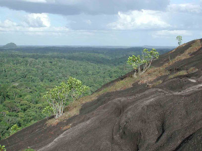 inselberg du Mont Chauve