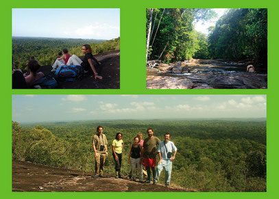 Sortie découverte de l'inselberg des Chutes Voltaire en Guyane 