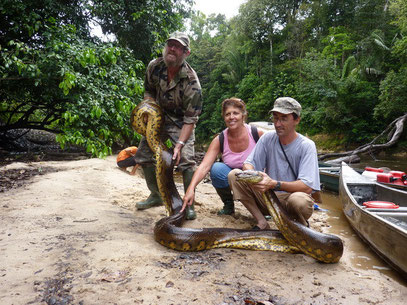 Découverte de la nature et des serpents en Guyane