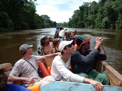 Remontée de l'Approuague en pirogue.