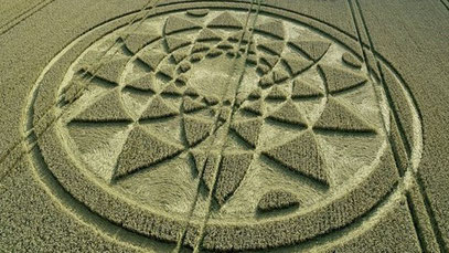 Angleterre : Impressionnant crop circle d’une "chouette" dans le Wiltshire Image