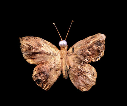 Butterfly broach, gilded bronze and pearl