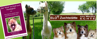 Elo Züchter