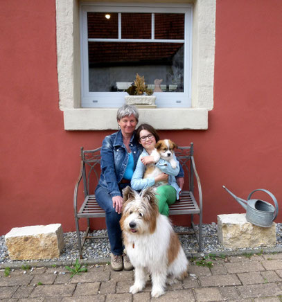 Kindergeeignete Hunderasse Familienhund Elo