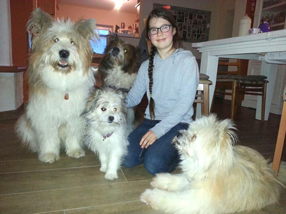 Elo wuscheliger Hund für Kinder