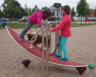 Hund Hunderasse Kind Kinder kinderlieb kindergeeignet 