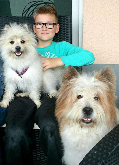 Familienhund für Kinder kinderfreundlich Rasse Hund Kind