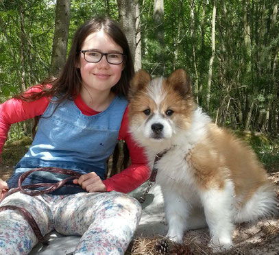Hund für Kinder Elo Erziehung Klick im Kopf