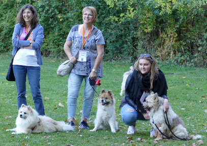 Foto: Michaela Hlburger. Joana-Josy, Jenky (beide glatt) und Meeko (rau) von Werths Echte