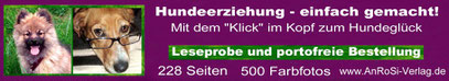 Ferienhaus mit Hund