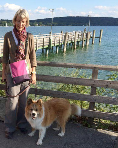 Ersthund Hunderasse für Anfänger Elo Glatt Familienhund Seniorenhund