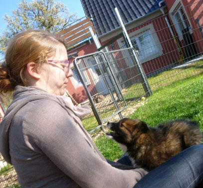 Hund und Kind Erziehung Tipps Buch