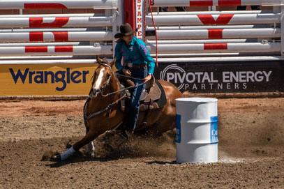 An der Calgary Stampede wird Barrel-Race um die Fässer geritten