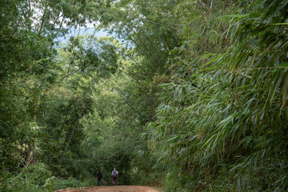 Etwa vier Stunden Wanderung ... für den kurzen Rückweg wählten wir den einfacheren Fahrweg ...