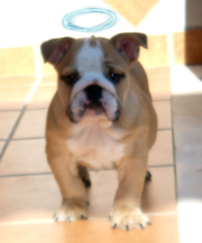 Nuestra Cloe del Cielo...