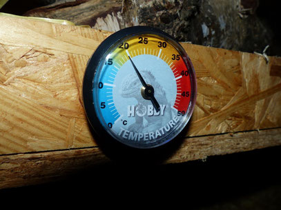 Thermometer  