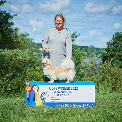 Ogre Winner 2022. Judge Ilva Kubasova, CAC and BOB