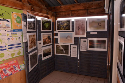 A l'entrée du magasin, les clients peuvent découvrir '"L'enjambée " © Camera Natura