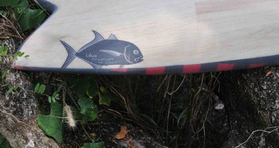 Fish surfboard balsa elleciel thailand