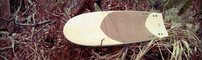 Mini Simmons surf quad Elleciel Custom Surfboards Phuket Thailand