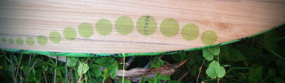 Elleciel Custom Surfboards Phuket Thailand Paulownia Wood Epoxy EPS Egginos  Mini Simmons Quad