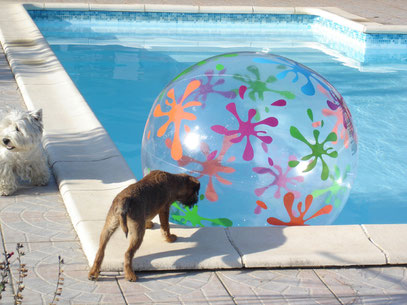 Lola à la piscine , joue au " prisonnier "