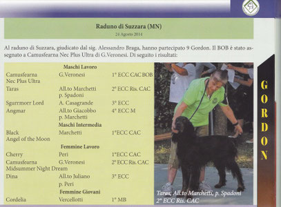 Da: SIS Annuarrio 2014