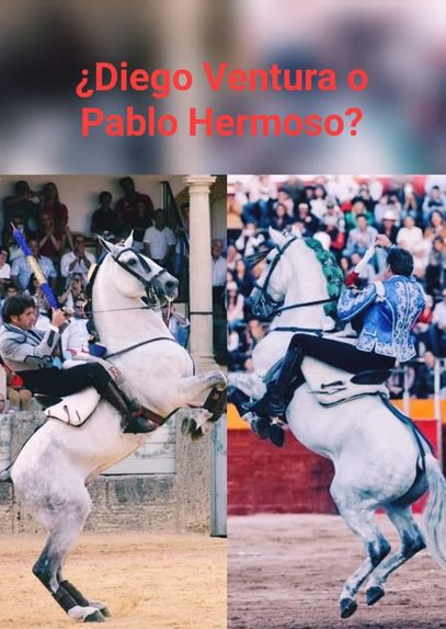 ¿Quién te gusta más?