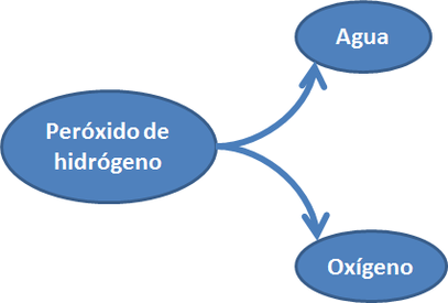 diagrama de peroxisoma