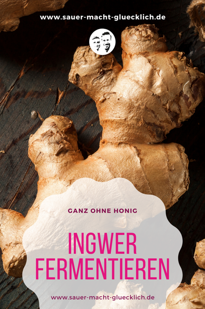 Ingwer fermentieren | Ganz ohne Honig haltbar machen