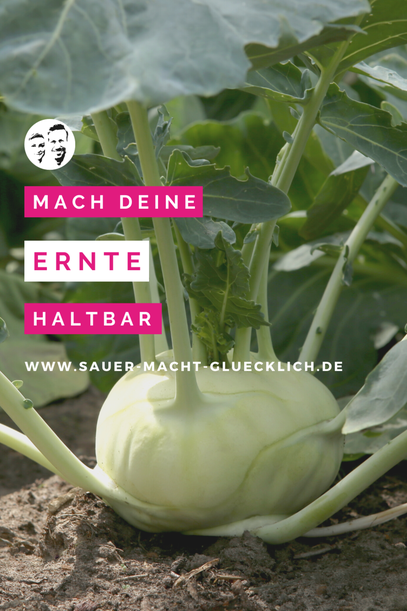 Gewürzkohlrabi - Gesunde Snackalternative für den Sommer