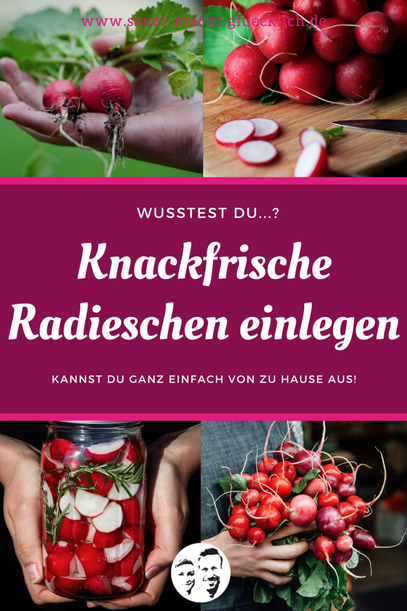 Knackige Radieschen fermentieren - Ein einzigartiger Snack für den Sommer