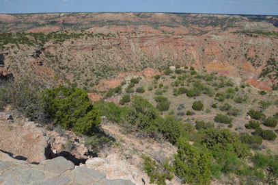 Palo Duro  Canyon State Park