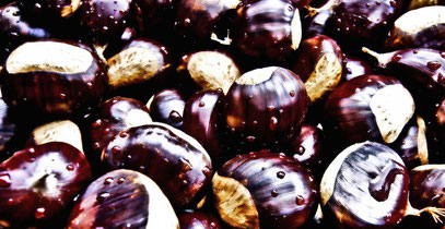 chestnuts-439089_1280_cc_pixabay