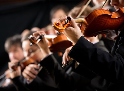 Violine