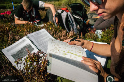 Sortie terrain : caractérisation des habitats du Lac Charpal et sa flore
