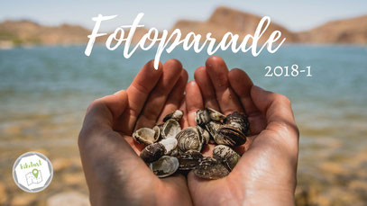 fopanet 2018-1 titelbild