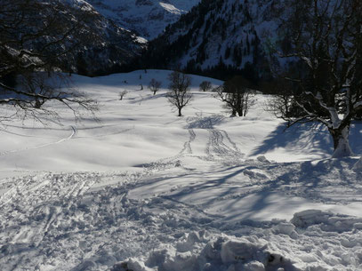 Gelände unterhalb der Schwarzenberghütte