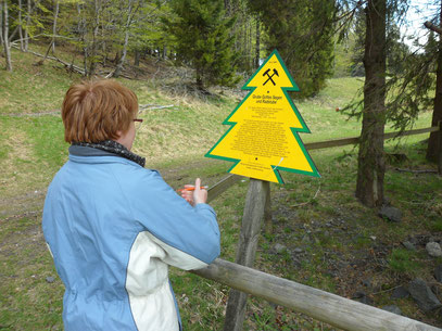 Eine Frau liest den Text auf einer gelben Dennert-Tanne, einer tannenförmigen Informationstafel, an einem Waldrand
