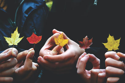 Foto: Artem Kniaz / unsplash.com