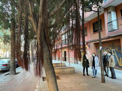 Catalá en el Barrio de Morvedre de Valencia