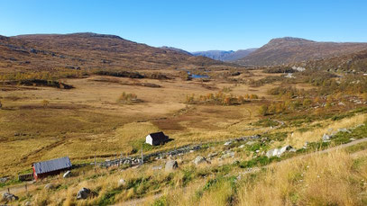 Hardangervidda im Herbst