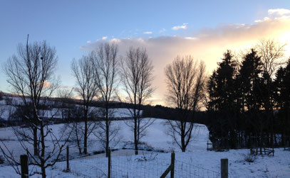 Winternachmittag